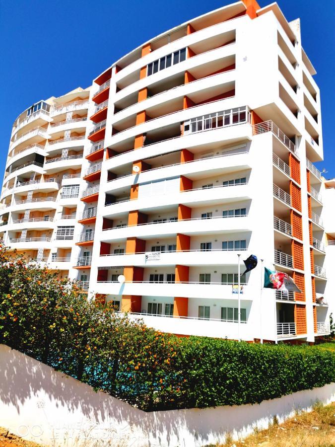 Jeni Residencia Flamingo