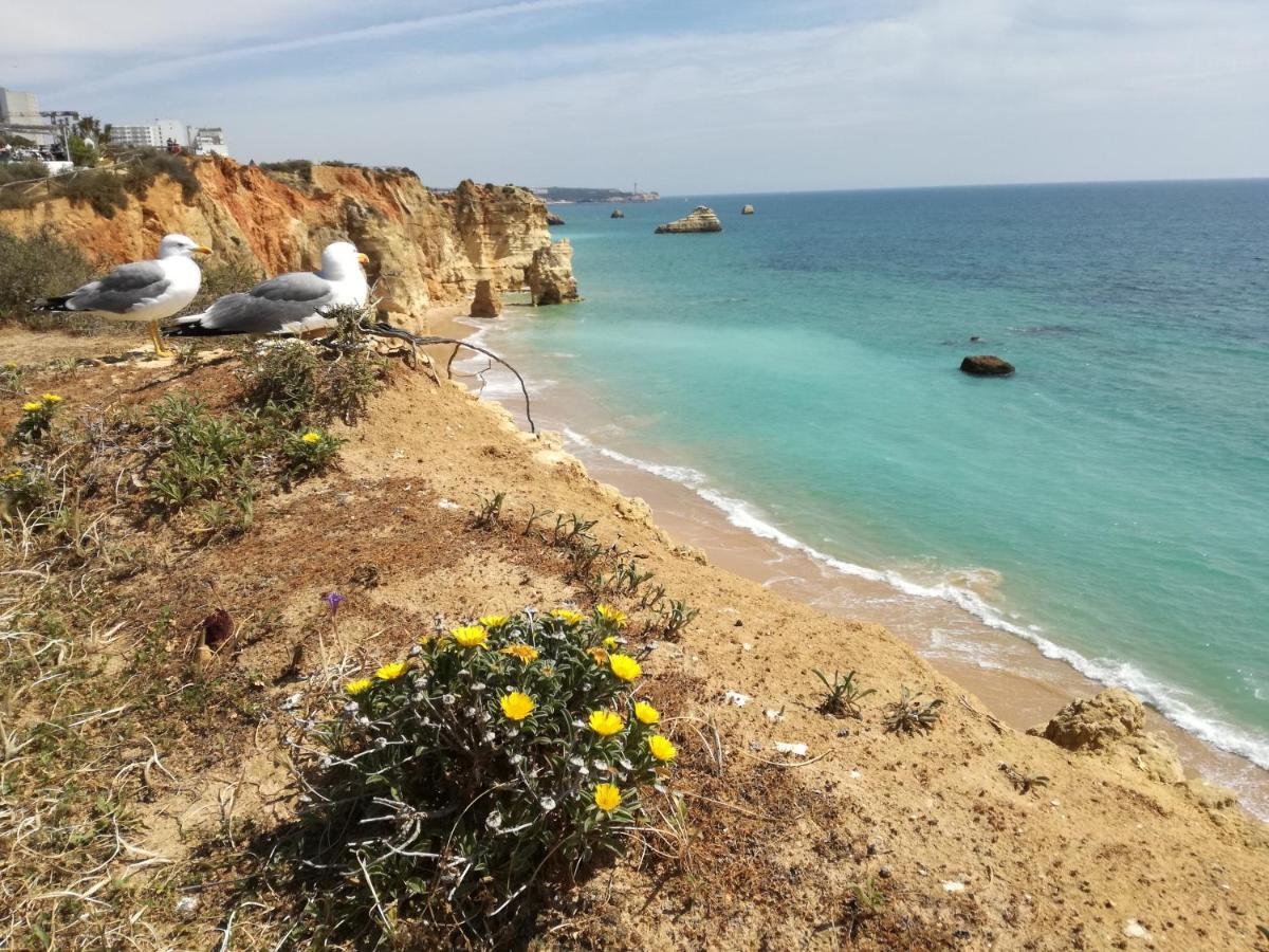 Jeni Residencia Flamingo Portimao
